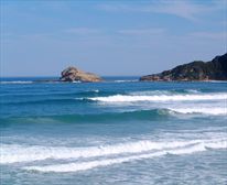  - Coral Reef Guest House (B&B)