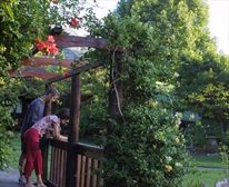 Bridge - Tsitsikamma Lodge