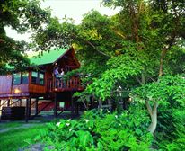 Deluxe Honeymoon Suite - Tsitsikamma Lodge