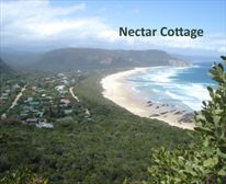 Picture 2/13 - Nectar Cottage