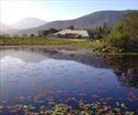 Plateau Country House, Tsitsikamma Accommodation