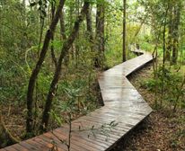 Plateau - Deck Walkway - Plateau Country House